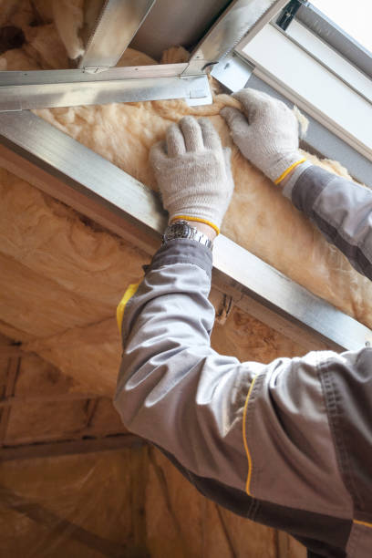 Best Spray Foam Insulation in Logansport, LA