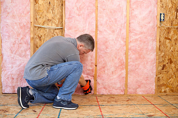 Best Fiberglass Insulation in Logansport, LA